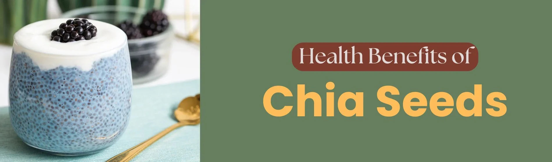 Notable Health Benefits of Chia Seeds